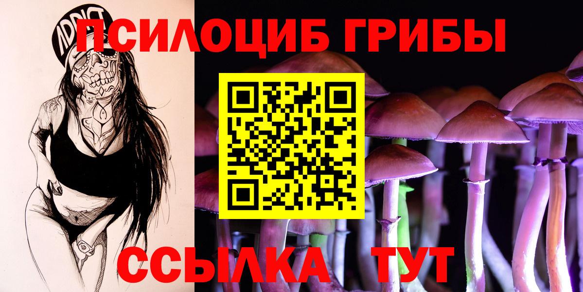 Галлюциногенные грибы MAGIC MUSHROOMS  Вход с VPN  хочу   Ливны 