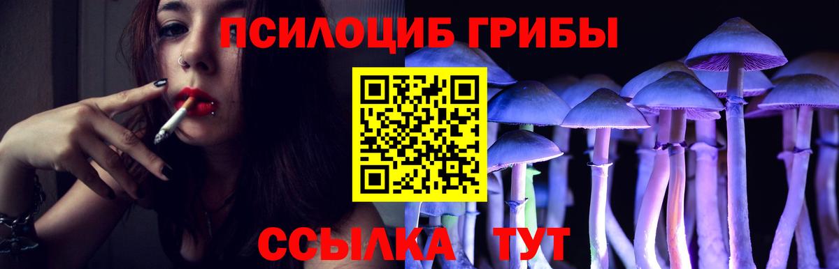 Псилоцибиновые грибы мицелий Ливны